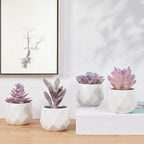 Ceramic Faux Succulent - View 8