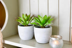Farmhouse Faux Plant — Set of 2 - View 3