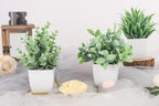 Green Faux Plant - View 4