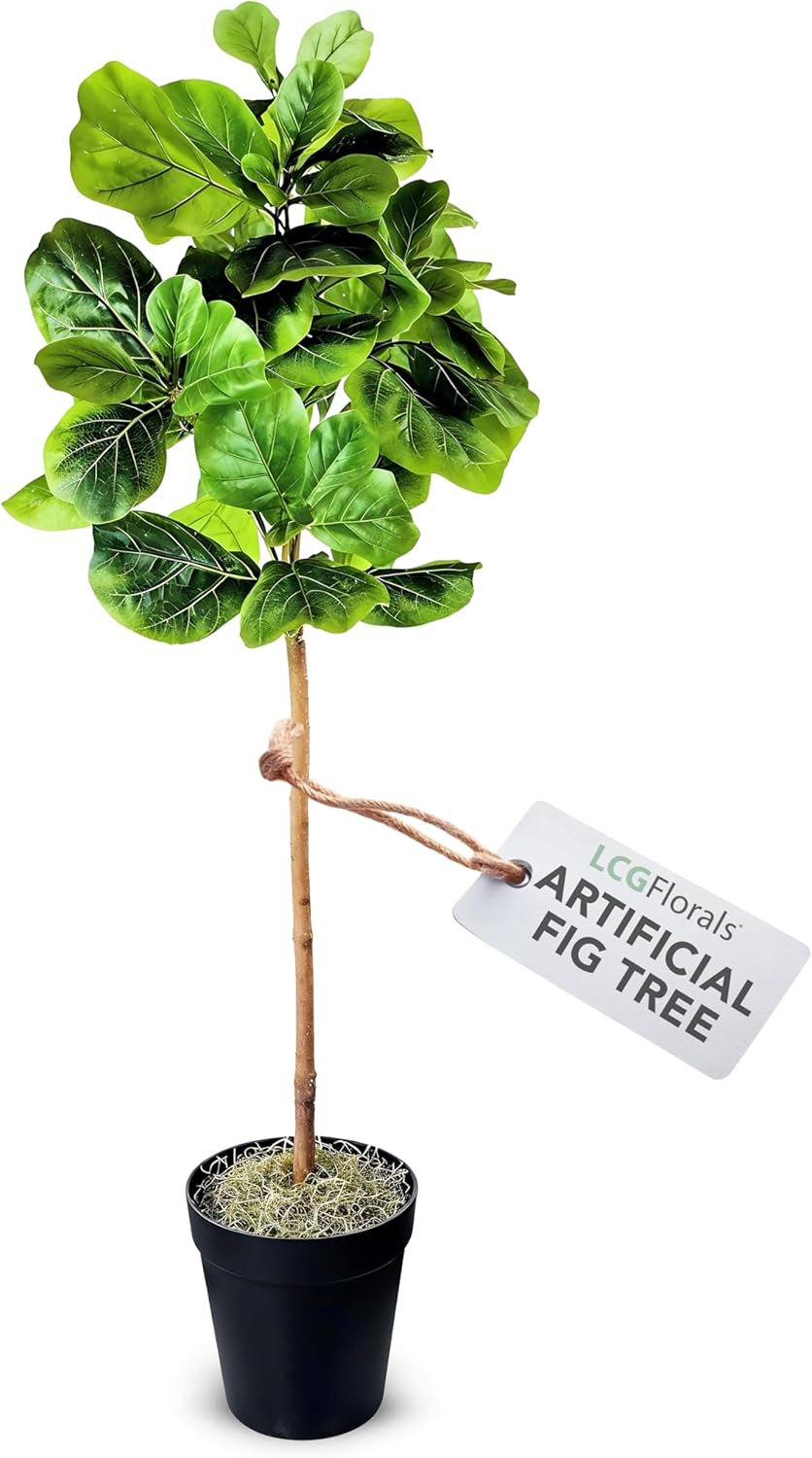 Boho Black Artificial Plant — Black Plastic