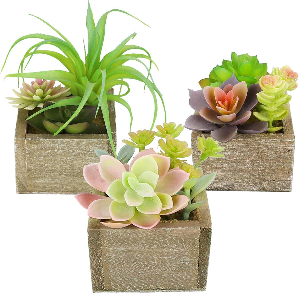 Beige Faux Plant — Organic