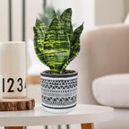 Modern Artificial Plant - View 6