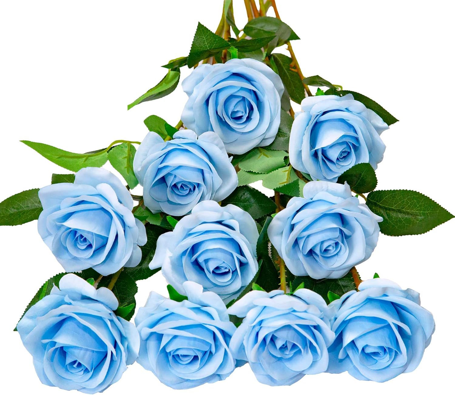 Black Artificial Plant — Sky Blue