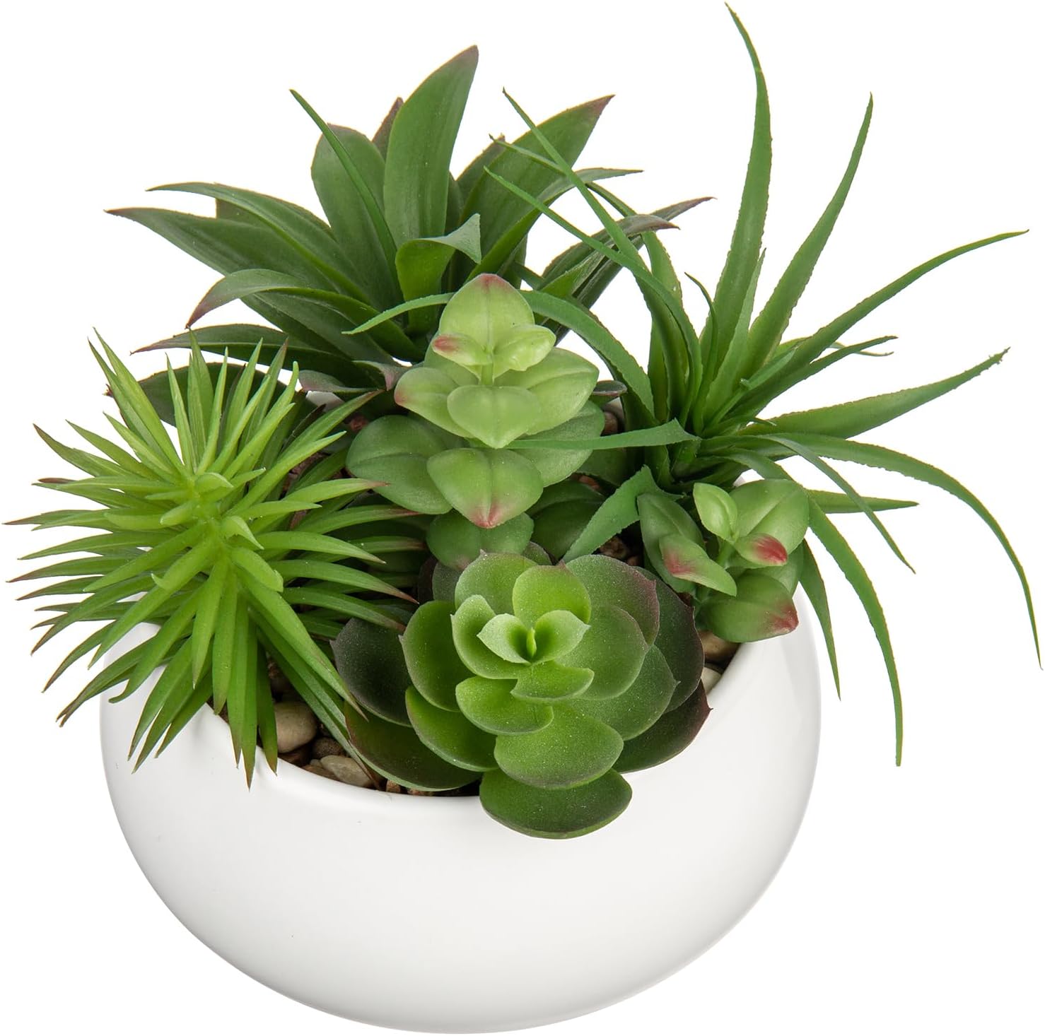 Black Faux Succulent — Premium White