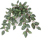 Green Artificial Plant — Purple