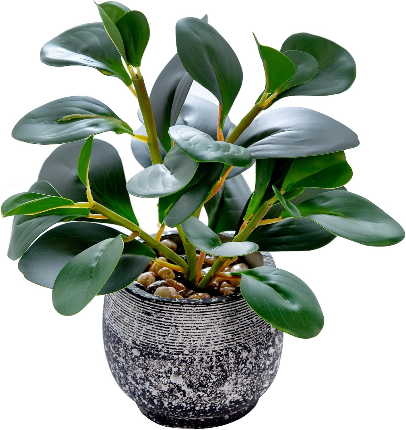 Farmhouse Green Faux Plant — Ficus Plant