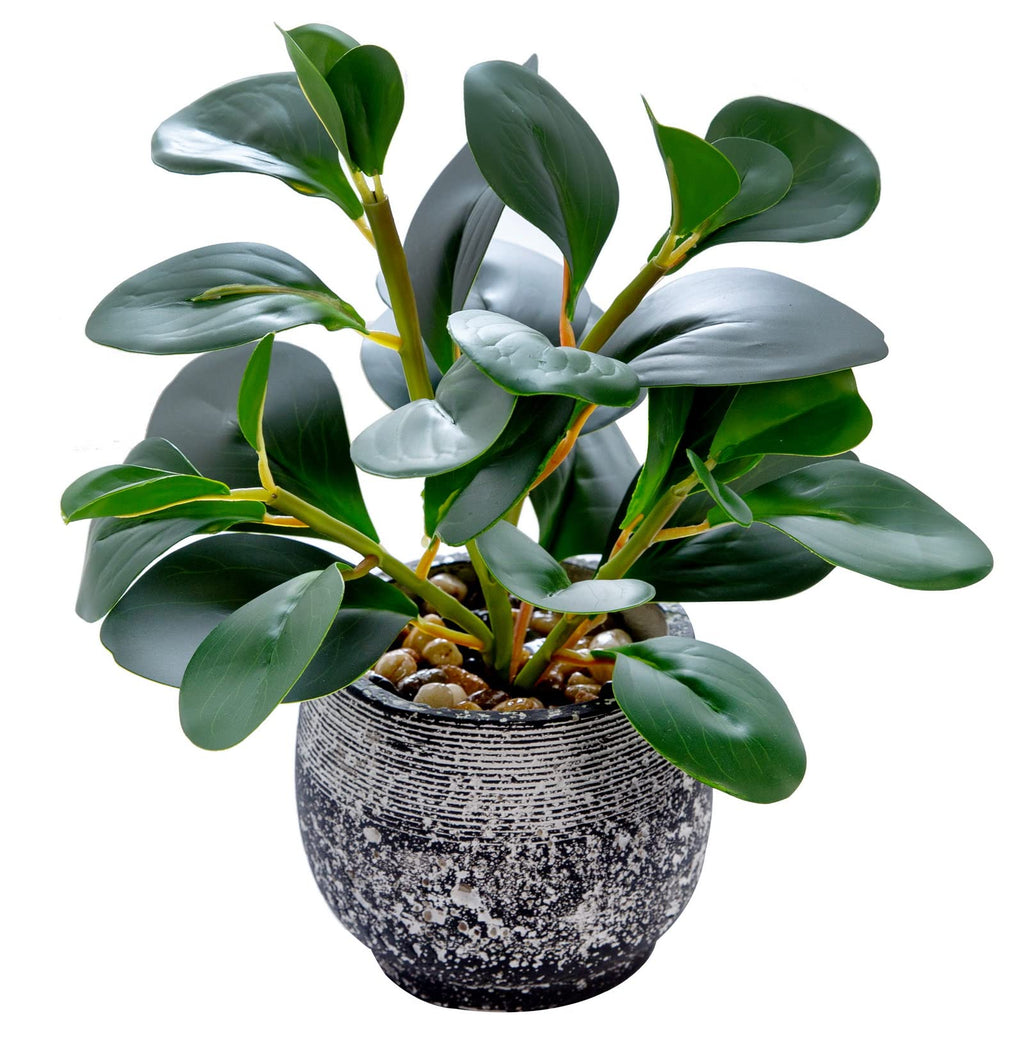 Farmhouse Green Faux Plant