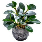 Farmhouse Green Faux Plant
