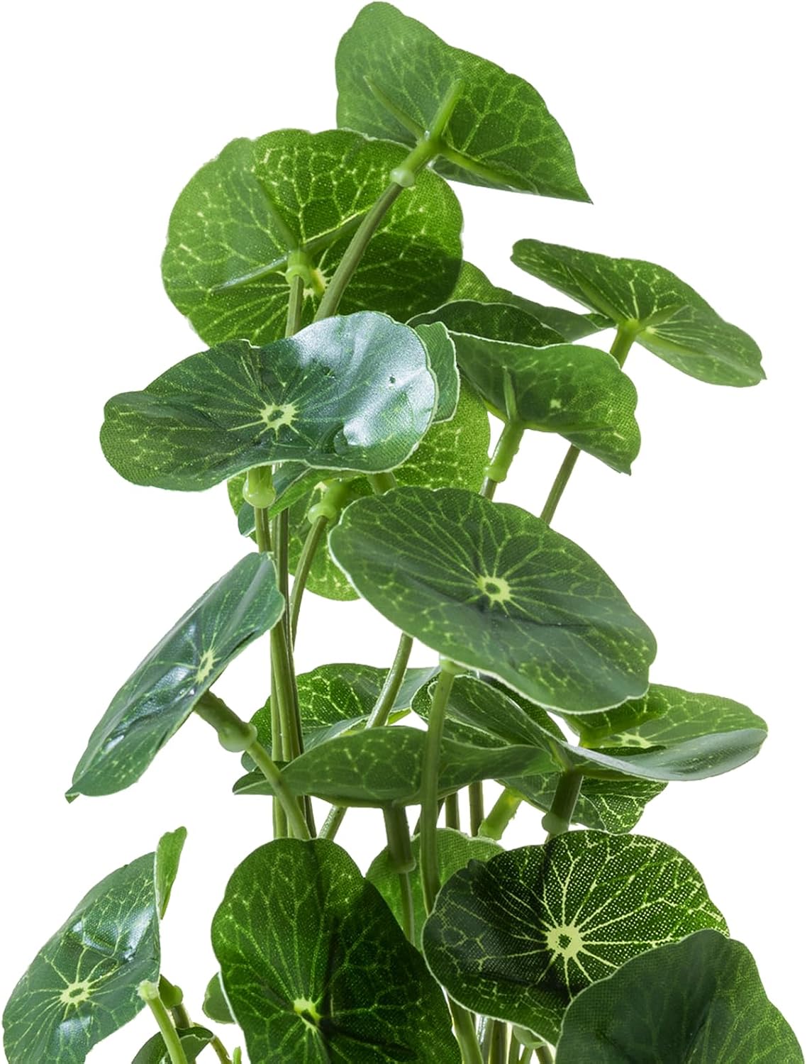 Black Faux Plant — 5" - View 8