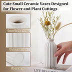 Boho Ceramic Vase — Set of 24 - View 6