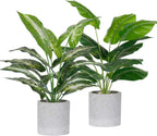 Faux Plant