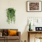 Wall Decor - View 4