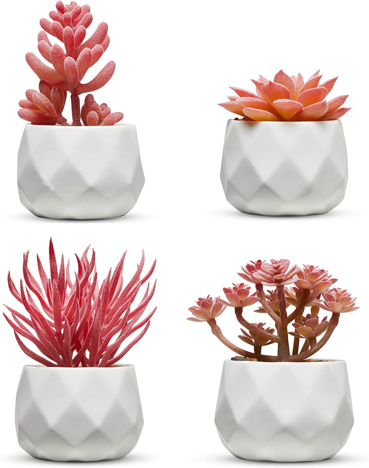 Luxe Black Faux Plant — Set of 3 — Ceramic White