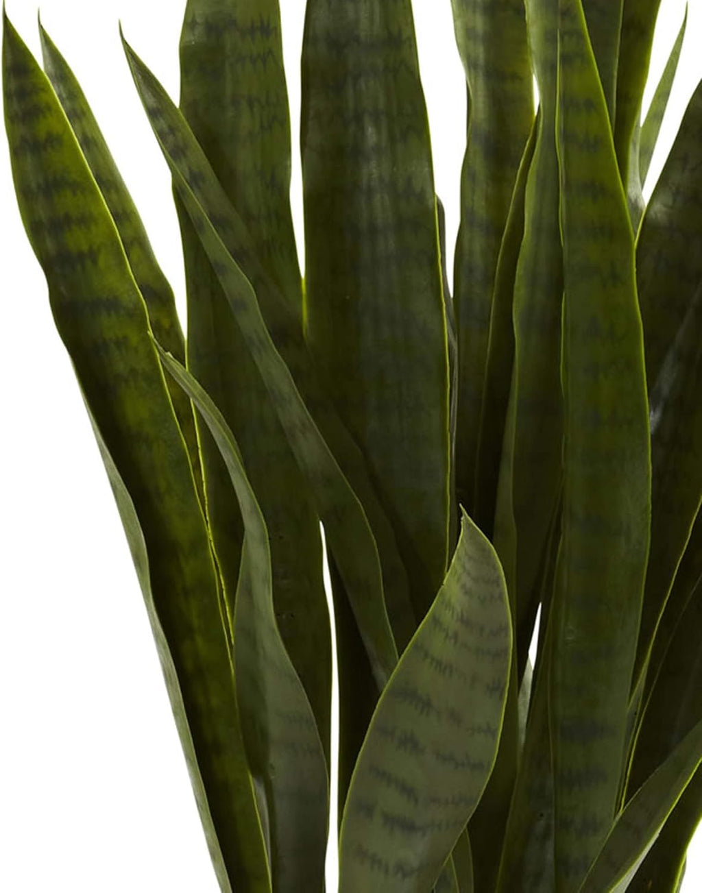 Artificial Plant - View 5