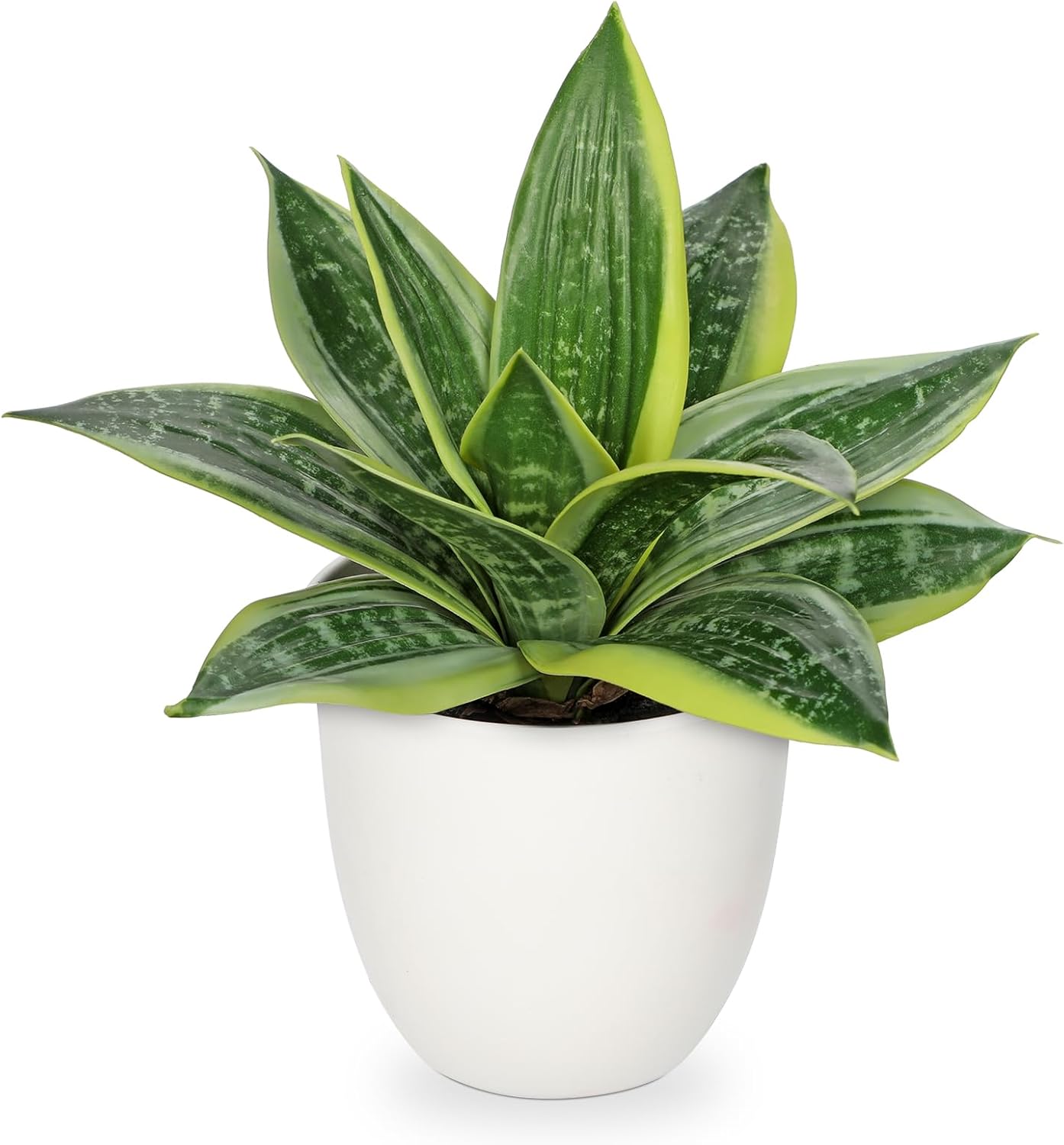 Modern Black Artificial Plant — 9" — Green #3