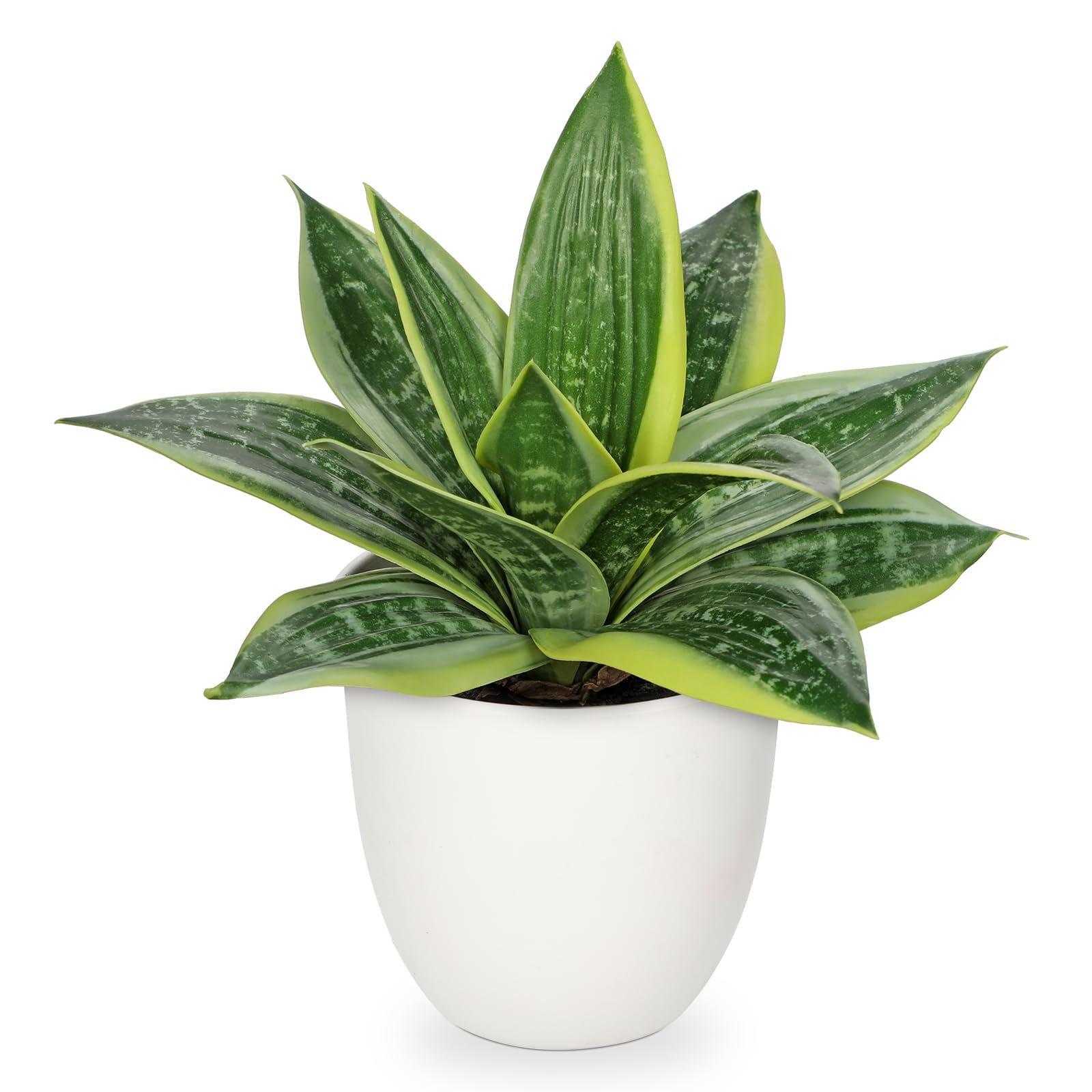 Modern Black Artificial Plant — 9"