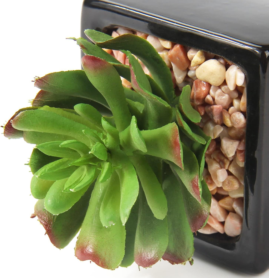Modern Black Faux Succulent - View 2