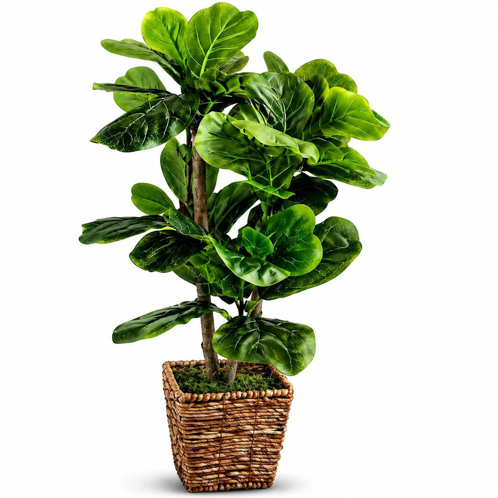 Boho Black Artificial Plant