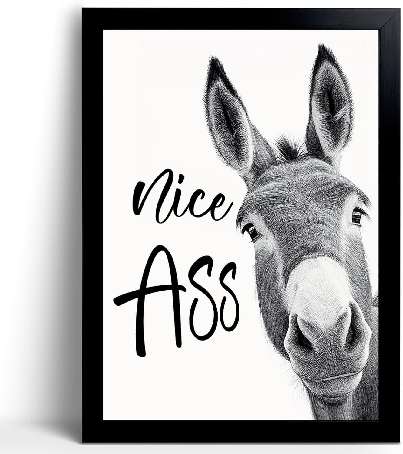 Framed Wood Canvas Wall Art — 8" — Nice Ass Donkey