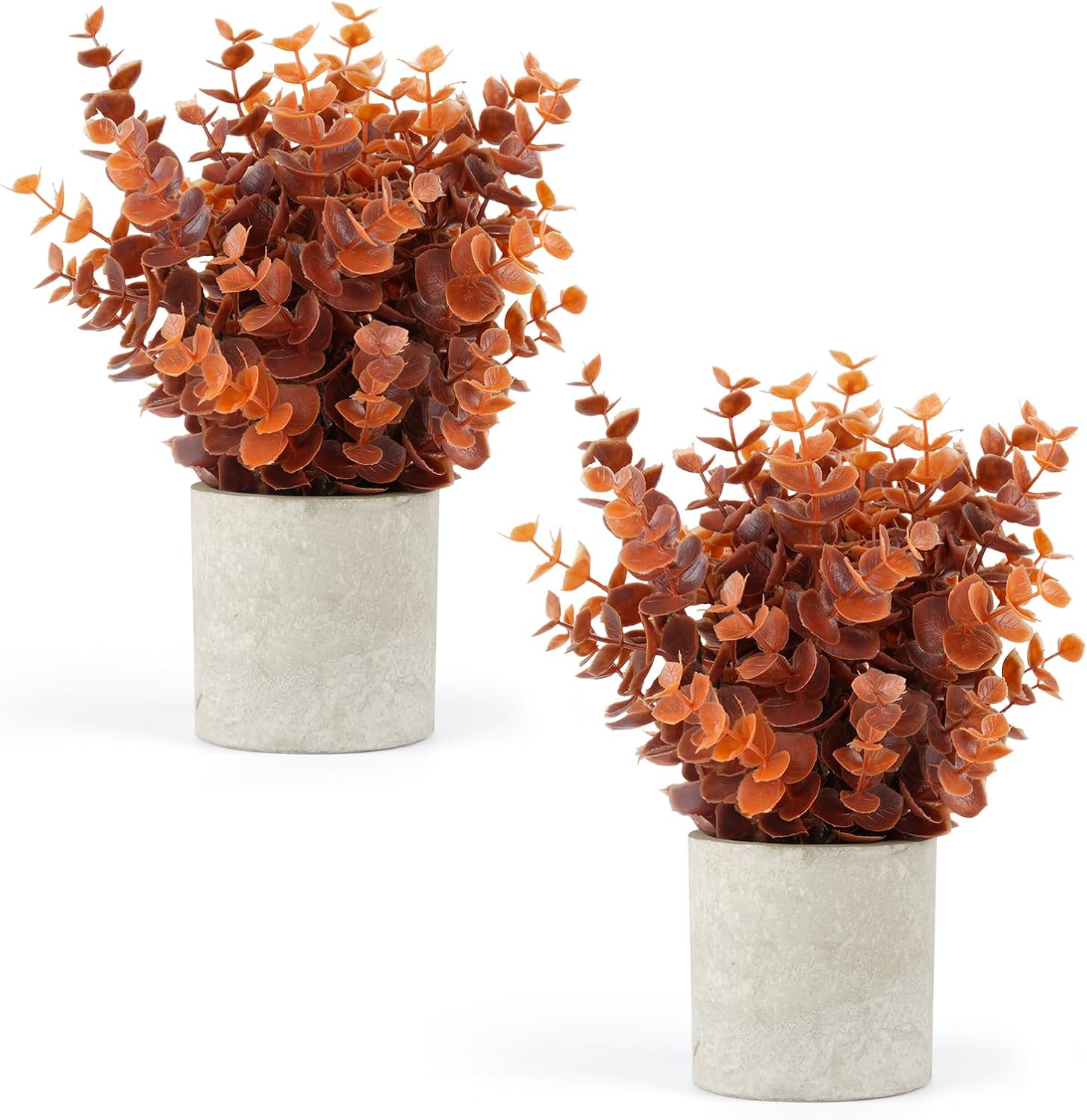 Farmhouse Black Artificial Plant — Orange01-2