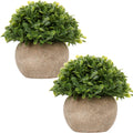 Farmhouse Artificial Plant — Style #02