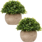 Farmhouse Artificial Plant — Style #02