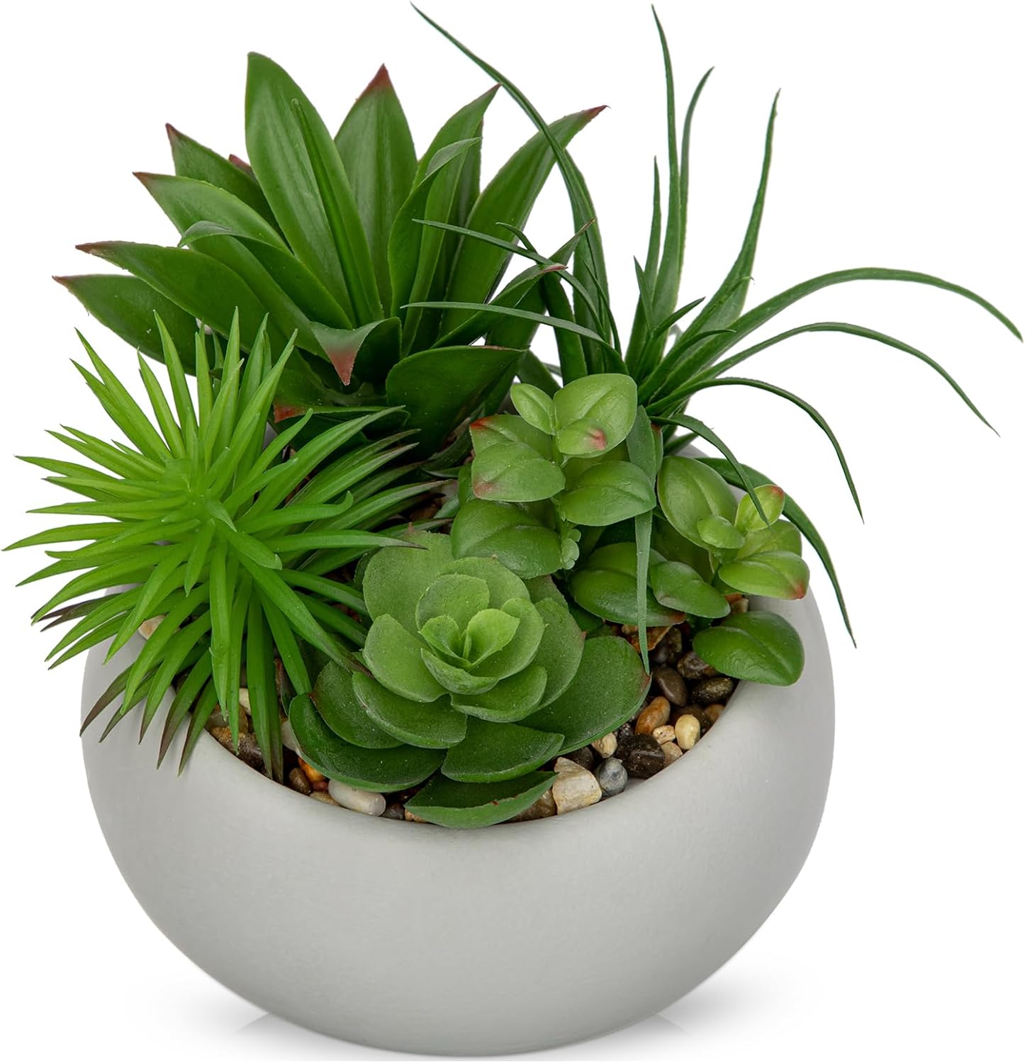 Black Faux Succulent — Cement Grey