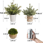 Farmhouse Faux Plant - View 3