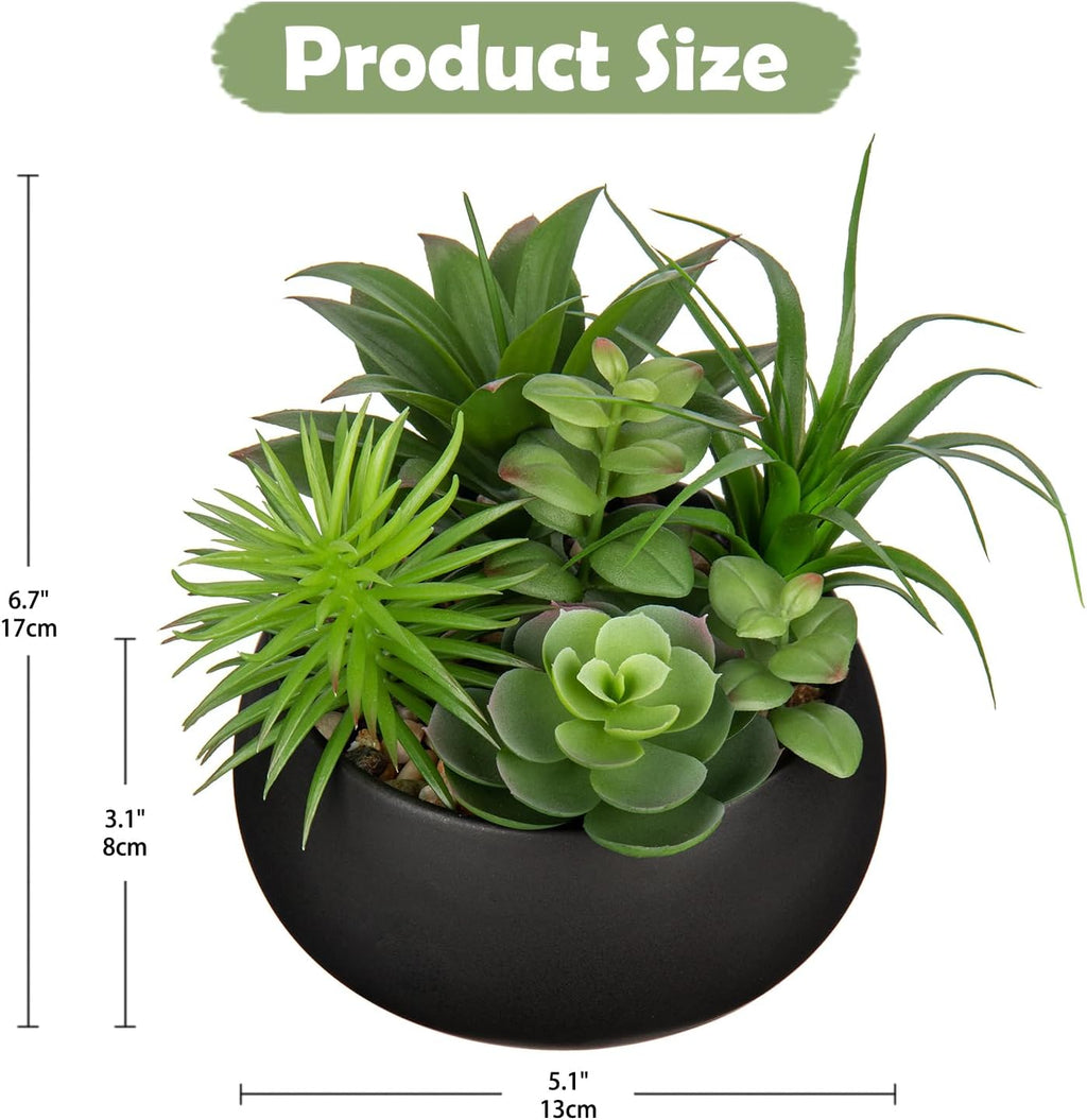 Black Faux Succulent - View 2
