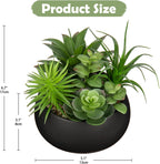 Black Faux Succulent - View 2