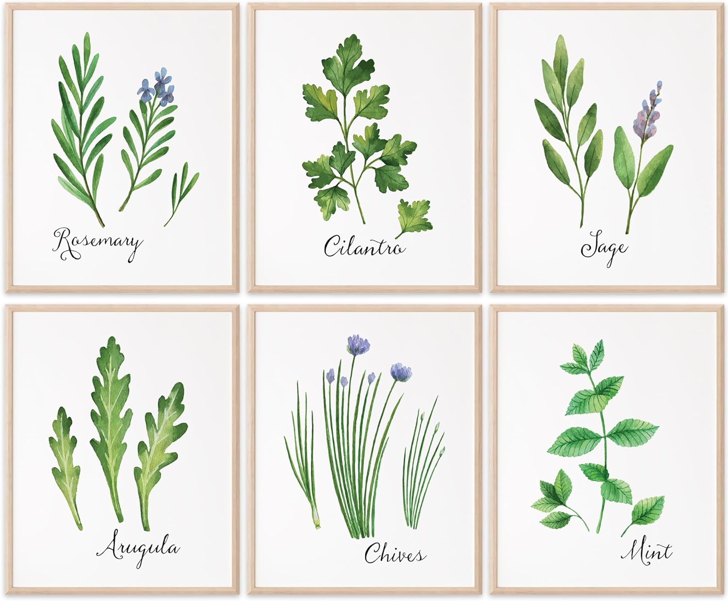 Unframed Wall Art — 11x14 — Kitchen Herbs 04
