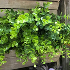 Farmhouse Wood Artificial Plant - View 6