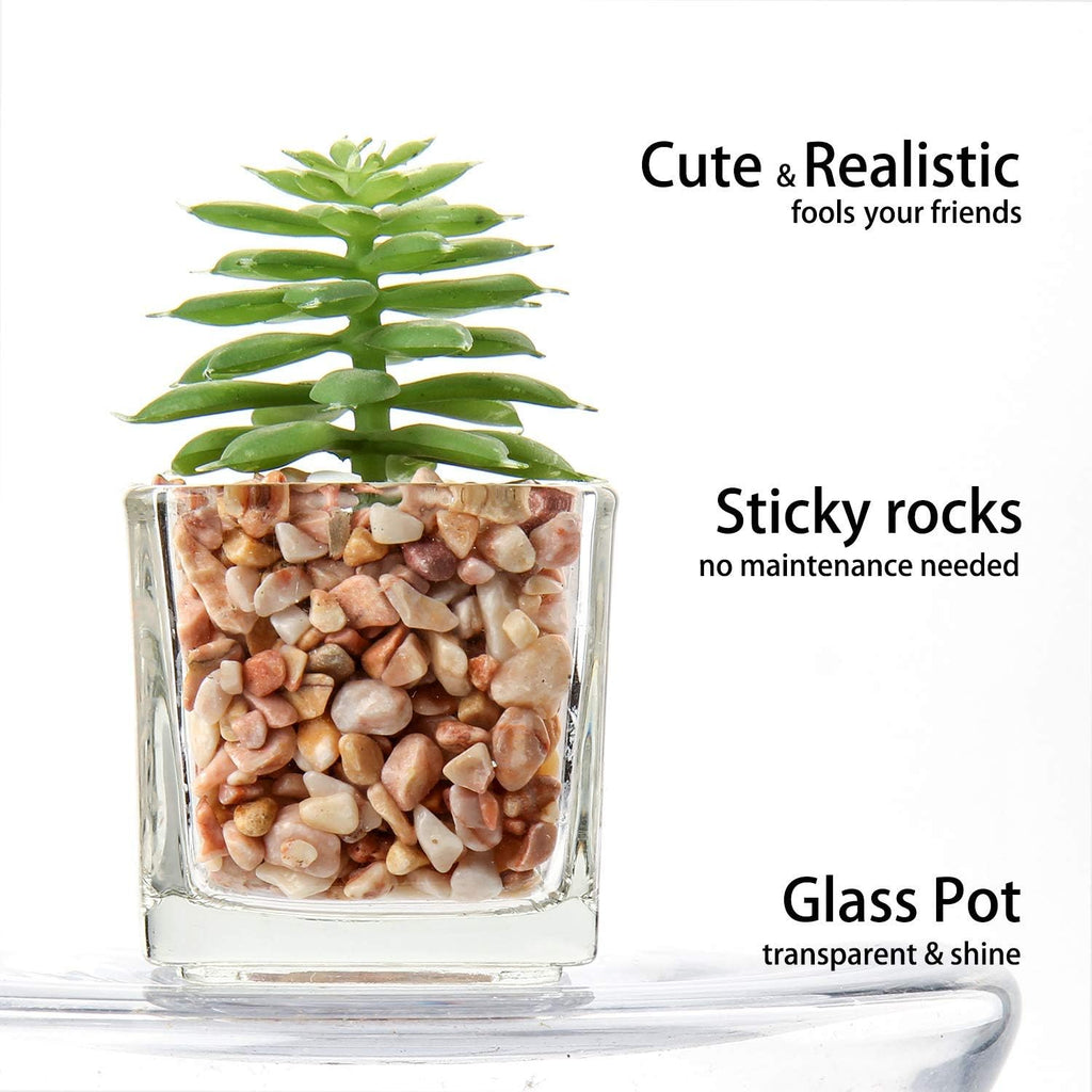 Glass Faux Succulent - View 3