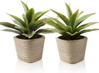 Farmhouse Green Faux Plant — Green