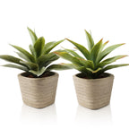 Farmhouse Green Faux Plant