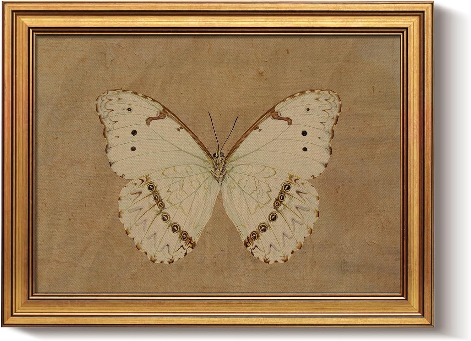 Framed Luxe Blue Wall Art — 16" — Vintage Butterfly