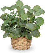 Boho Rattan Artificial Plant — 11" — Style#2