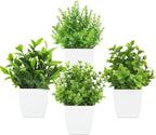Black Faux Plant — White