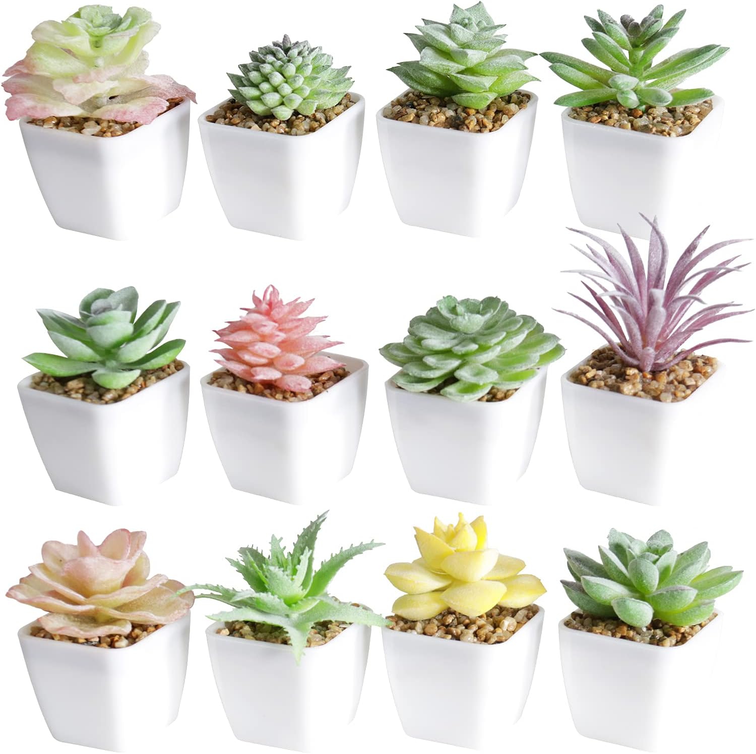 Gold Faux Succulent — White-12