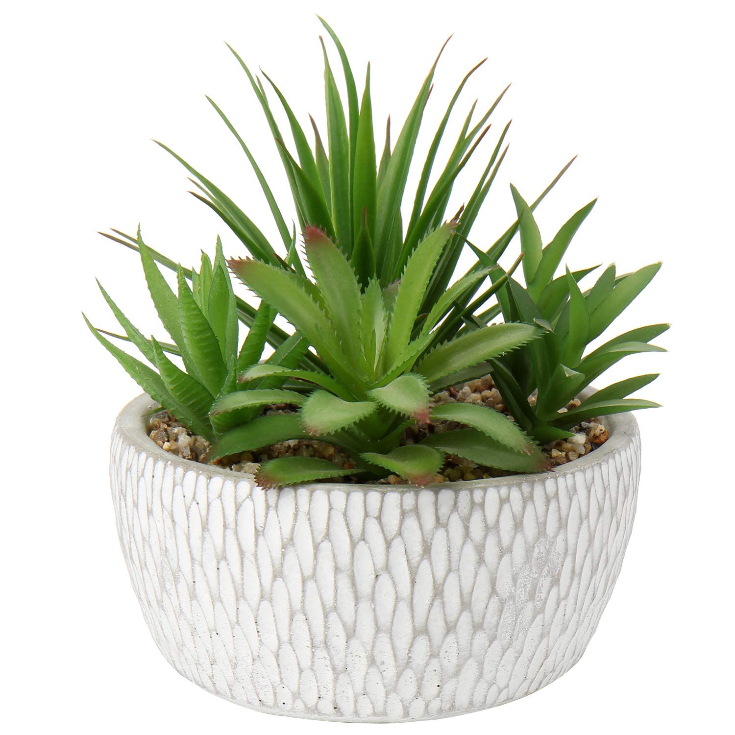 Black Faux Succulent