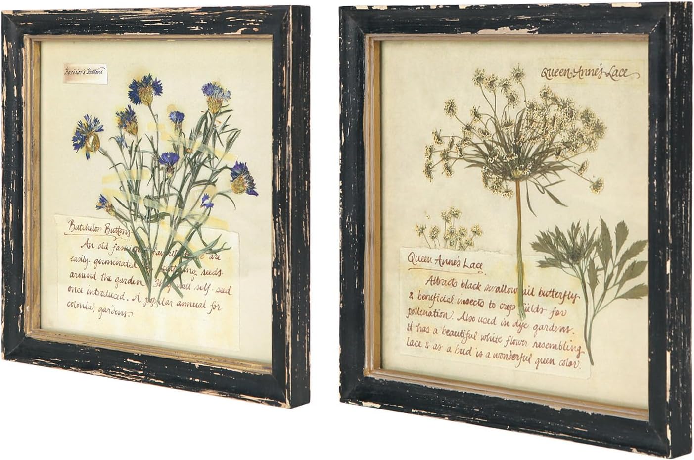 Framed Wood Wall Art — 10" — Picture-02
