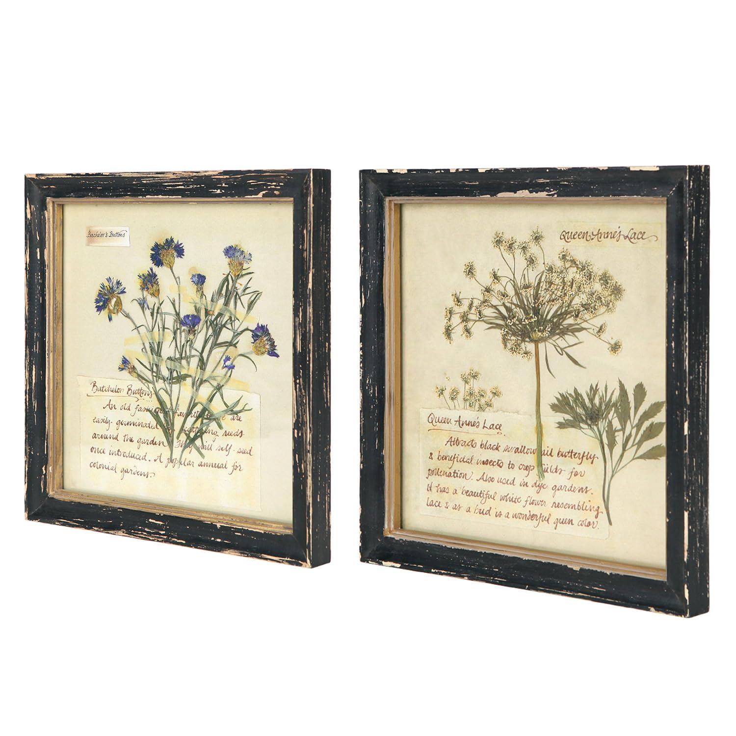 Framed Wood Wall Art — 10"