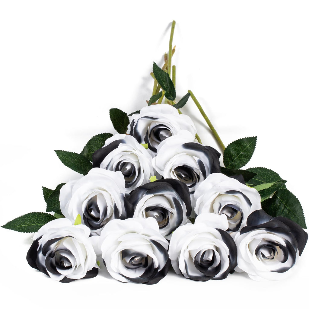 Black Artificial Plant