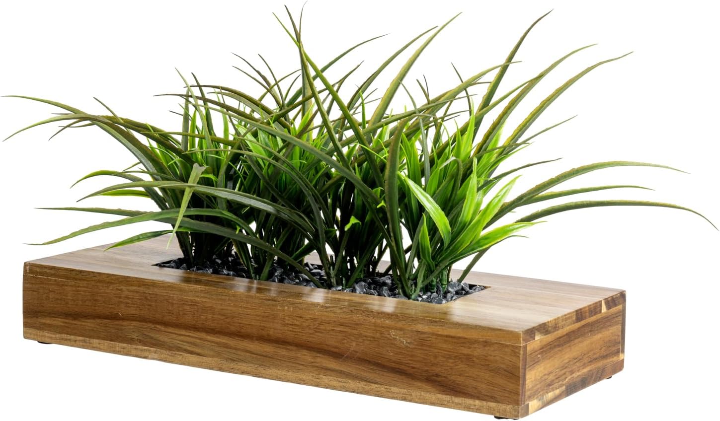 Rectangular Black Faux Plant — 10" — Acacia Wood