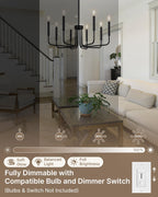 Farmhouse Black Chandelier — 8-Light - View 8