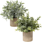 Farmhouse Green Faux Plant — Set of 2