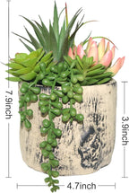 Ceramic Faux Succulent - View 2