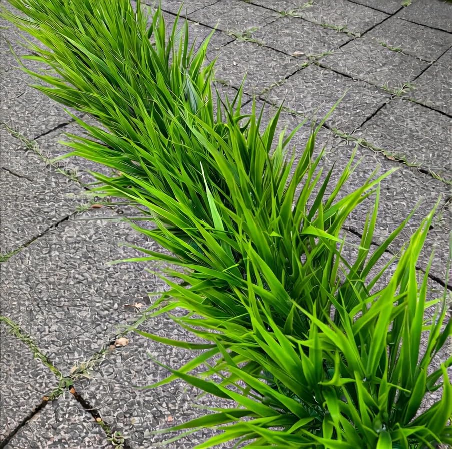 Green Artificial Plant - View 5