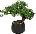 Farmhouse Ceramic Faux Plant — Ficus