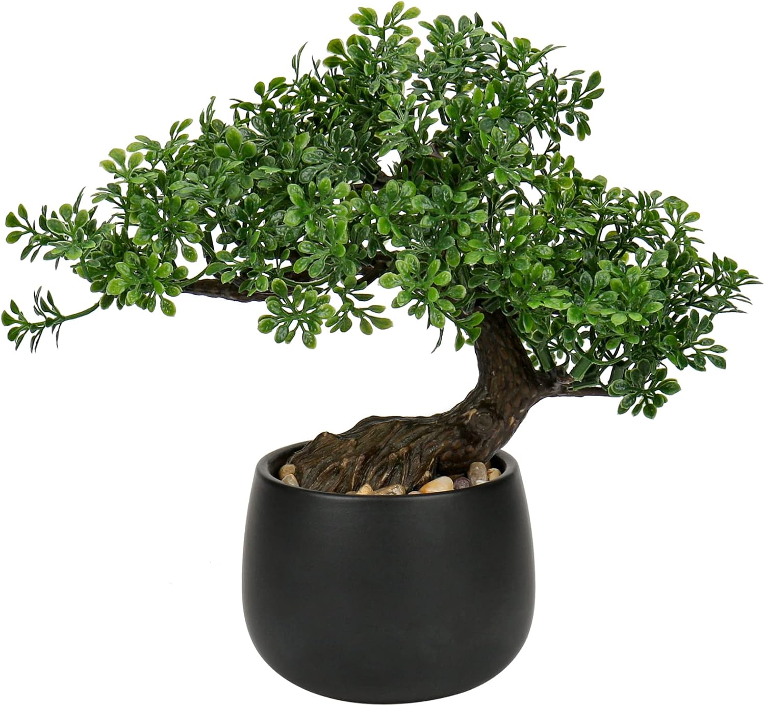 Farmhouse Ceramic Faux Plant — Ficus